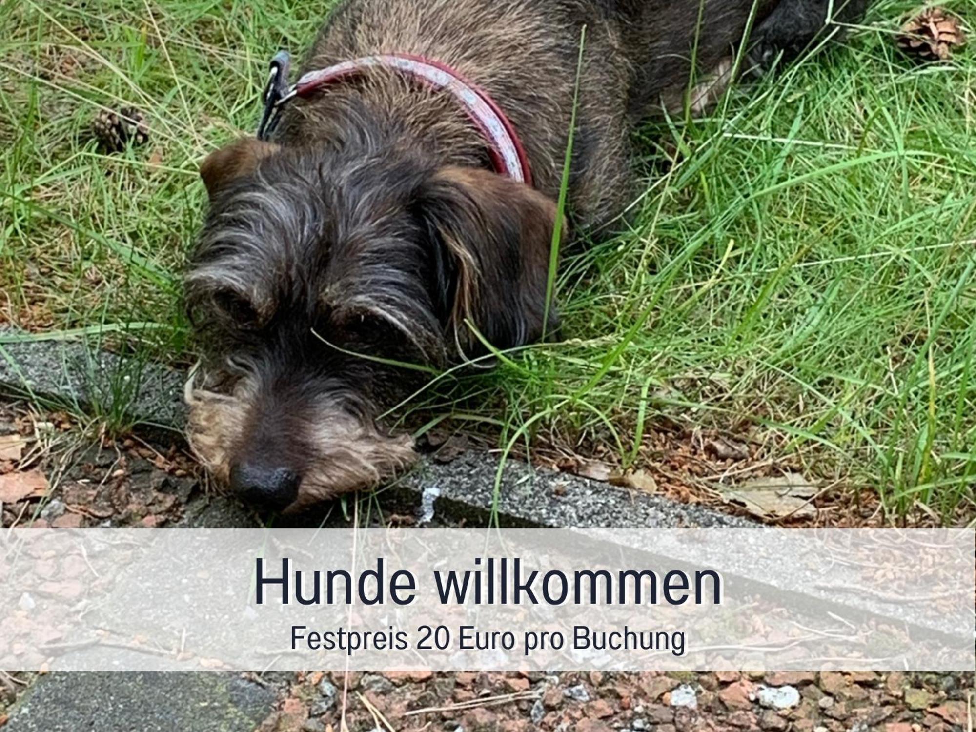 Ferienhaus Dackelglueck Schmallenberg Esterno foto